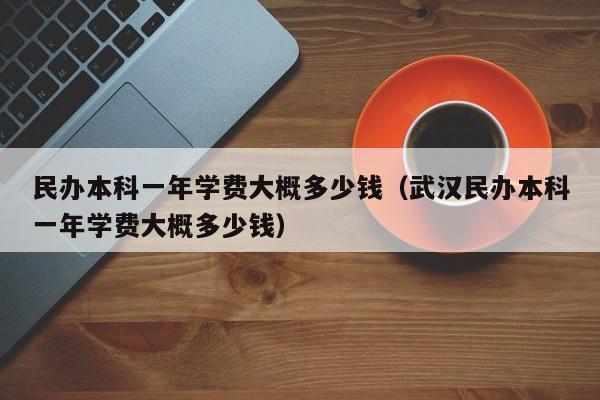 民办本科一年学费大概多少钱（武汉民办本科一年学费大概多少钱）