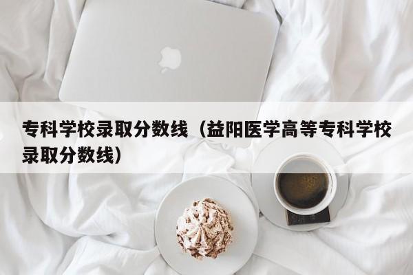 专科学校录取分数线（益阳医学高等专科学校录取分数线）