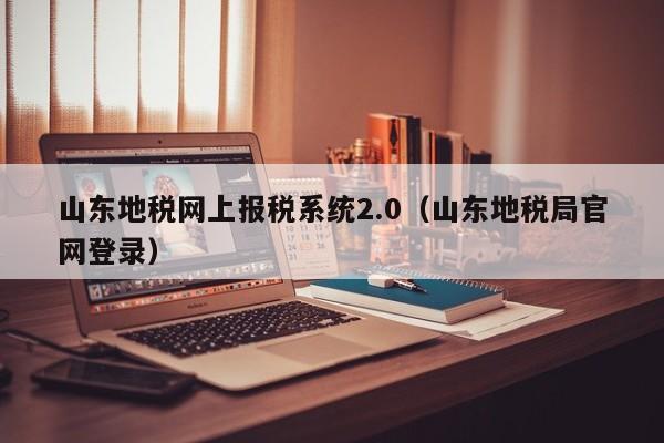 山东地税网上报税系统2.0（山东地税局官网登录）