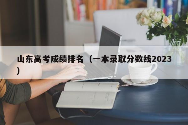 山东高考成绩排名（一本录取分数线2023）
