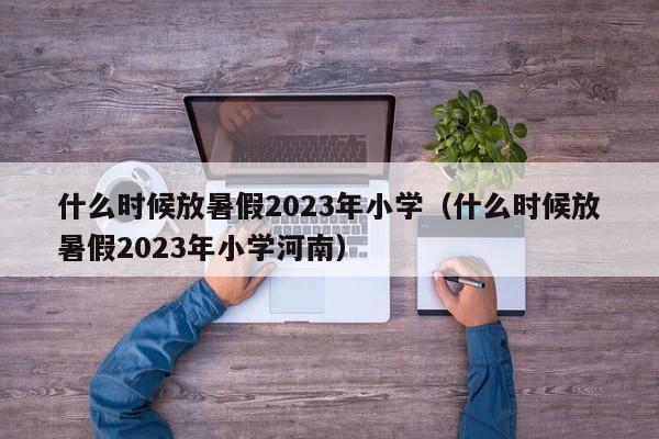 什么时候放暑假2023年小学（什么时候放暑假2023年小学河南）