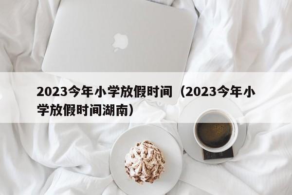 2023今年小学放假时间（2023今年小学放假时间湖南）