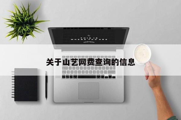 关于山艺网费查询的信息