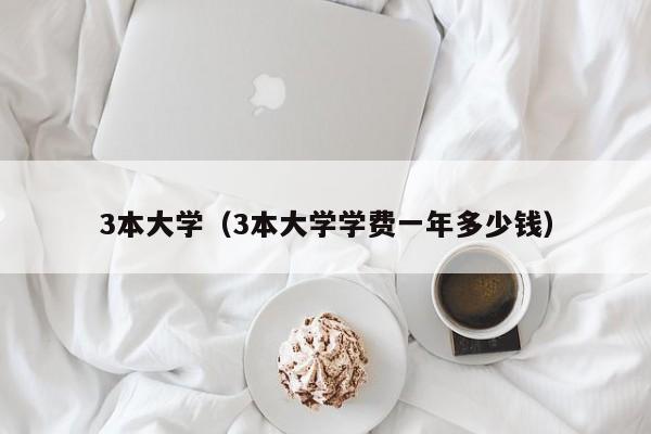 3本大学（3本大学学费一年多少钱）