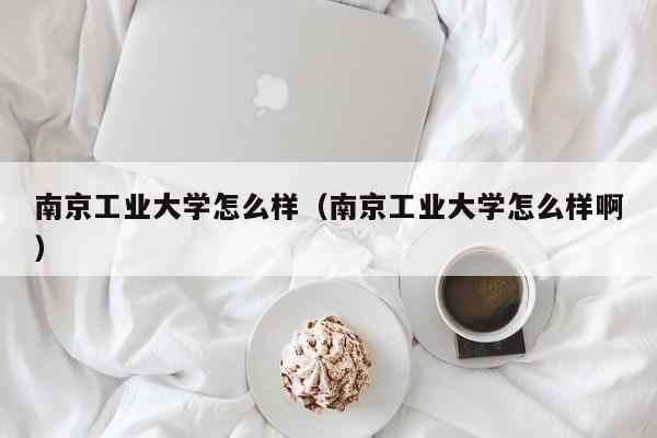 南京工业大学怎么样（南京工业大学怎么样啊）