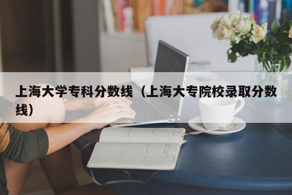 上海大学专科分数线（上海大专院校录取分数线）