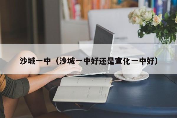 沙城一中（沙城一中好还是宣化一中好）