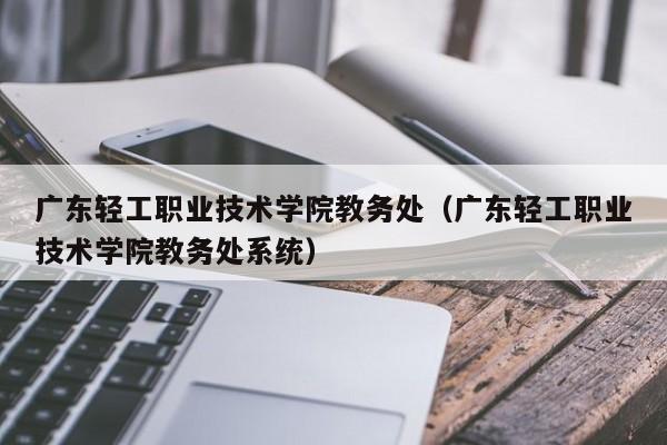 广东轻工职业技术学院教务处（广东轻工职业技术学院教务处系统）