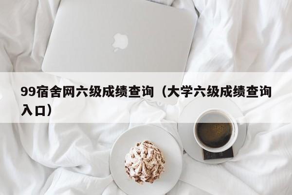 99宿舍网六级成绩查询（大学六级成绩查询入口）