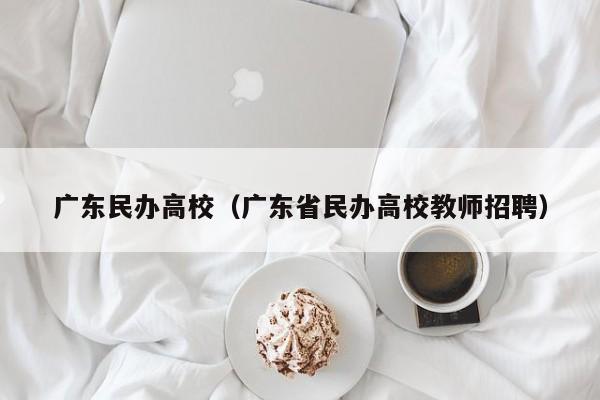 广东民办高校（广东省民办高校教师招聘）