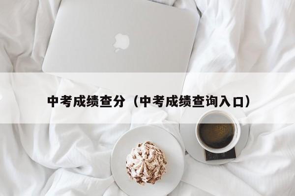 中考成绩查分（中考成绩查询入口）