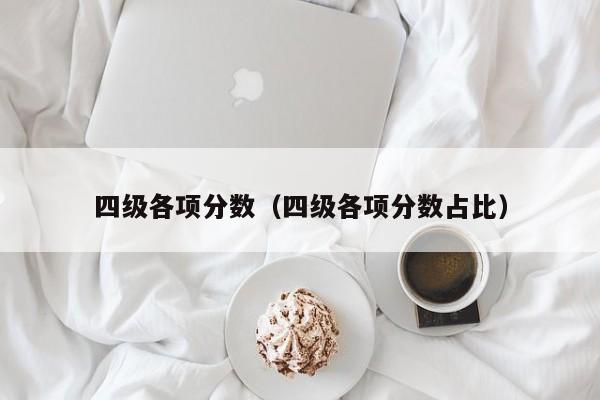 四级各项分数（四级各项分数占比）