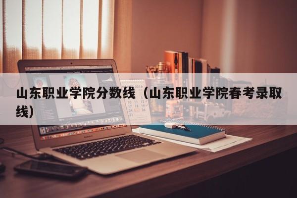 山东职业学院分数线（山东职业学院春考录取线）