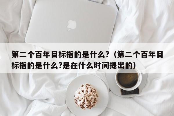 第二个百年目标指的是什么?（第二个百年目标指的是什么?是在什么时间提出的）