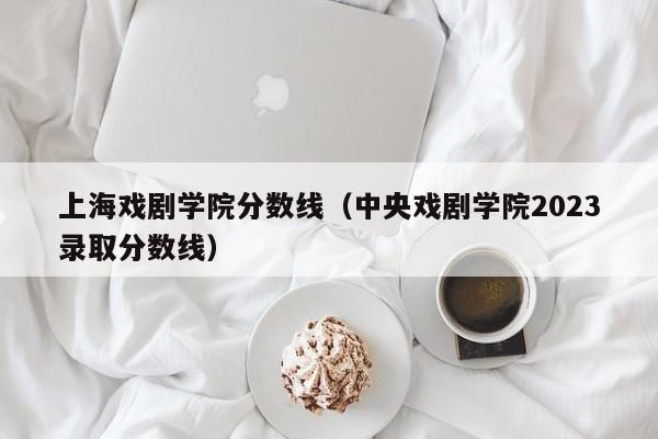 上海戏剧学院分数线（中央戏剧学院2023录取分数线）