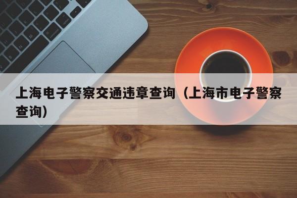 上海电子警察交通违章查询（上海市电子警察查询）