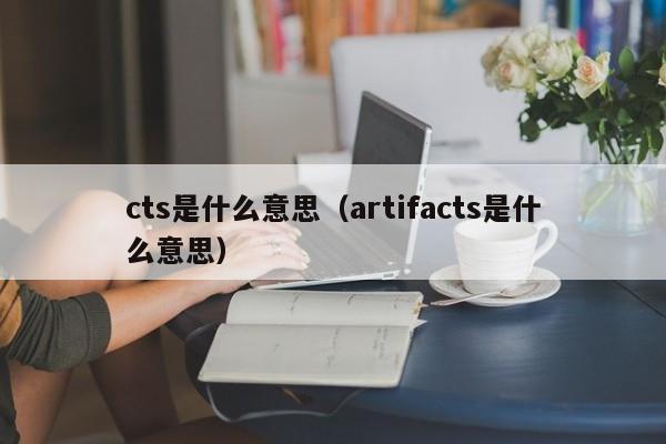 cts是什么意思（artifacts是什么意思）
