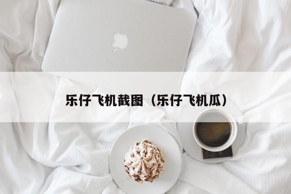 乐仔飞机截图（乐仔飞机瓜）