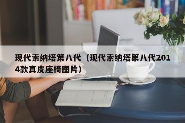 现代索纳塔第八代（现代索纳塔第八代2014款真皮座椅图片）