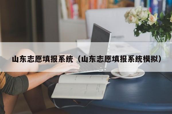 山东志愿填报系统（山东志愿填报系统模拟）