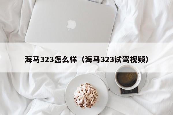 海马323怎么样（海马323试驾视频）