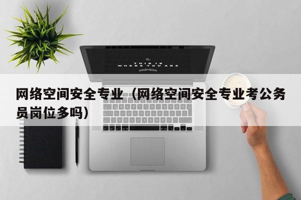 网络空间安全专业（网络空间安全专业考公务员岗位多吗）