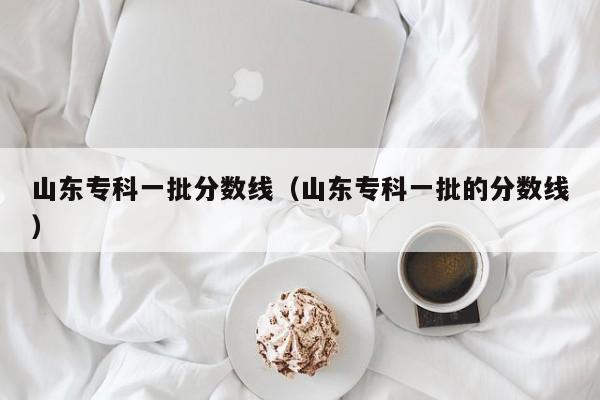 山东专科一批分数线（山东专科一批的分数线）