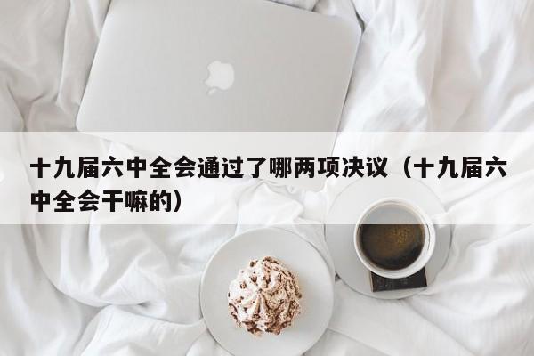 十九届六中全会通过了哪两项决议（十九届六中全会干嘛的）