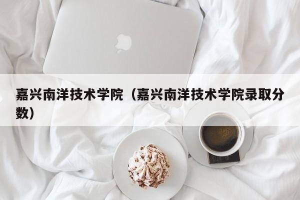 嘉兴南洋技术学院（嘉兴南洋技术学院录取分数）