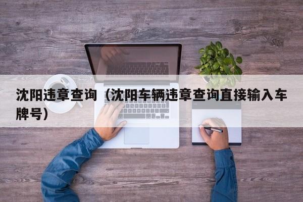 沈阳违章查询（沈阳车辆违章查询直接输入车牌号）