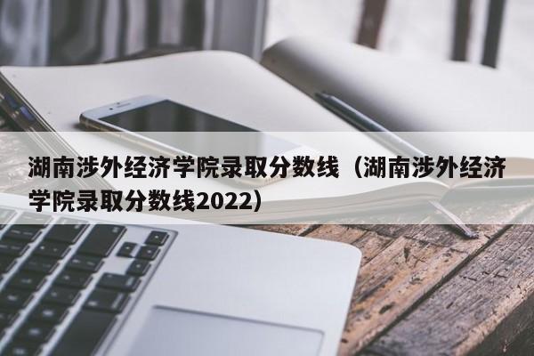 湖南涉外经济学院录取分数线（湖南涉外经济学院录取分数线2022）
