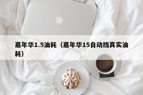 嘉年华1.5油耗（嘉年华15自动挡真实油耗）
