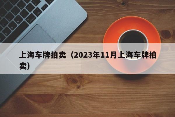 上海车牌拍卖（2023年11月上海车牌拍卖）