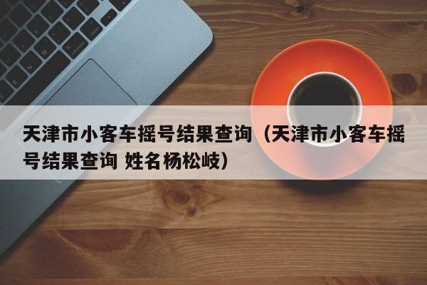 天津市小客车摇号结果查询（天津市小客车摇号结果查询 姓名杨松岐）
