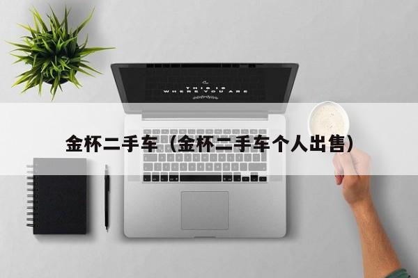 金杯二手车（金杯二手车个人出售）