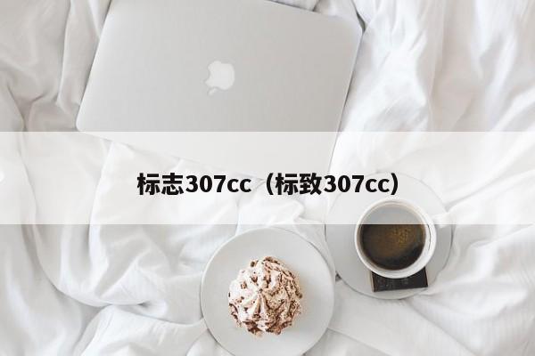 标志307cc（标致307cc）