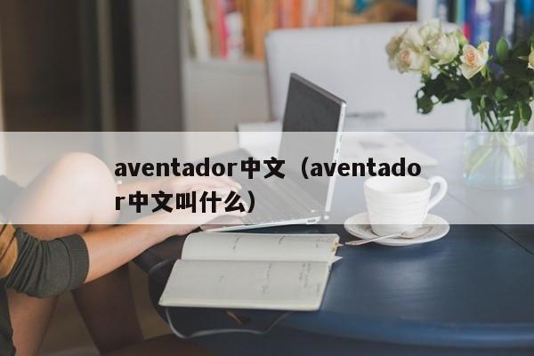 aventador中文（aventador中文叫什么）