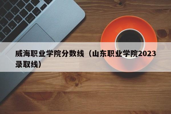 威海职业学院分数线（山东职业学院2023录取线）