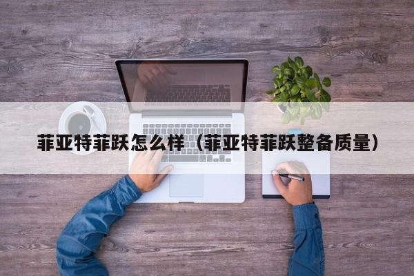 菲亚特菲跃怎么样（菲亚特菲跃整备质量）