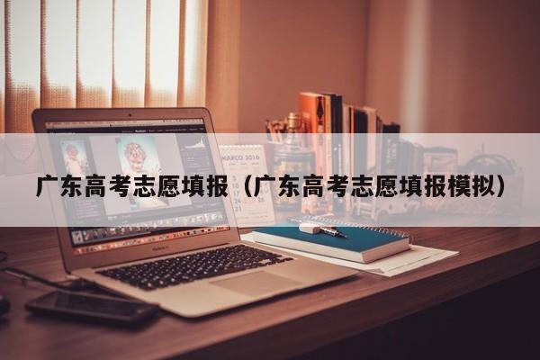 广东高考志愿填报（广东高考志愿填报模拟）