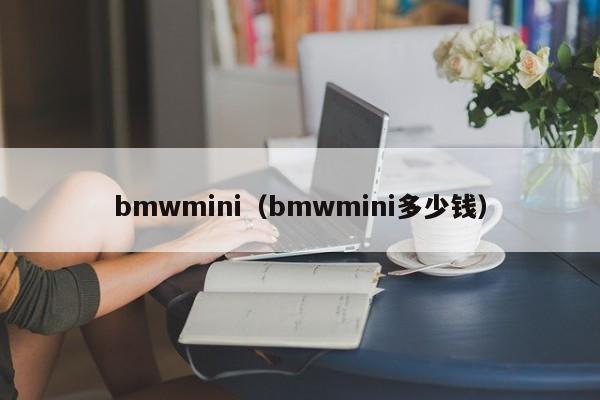 bmwmini（bmwmini多少钱）