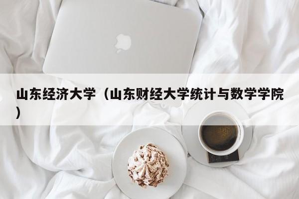 山东经济大学（山东财经大学统计与数学学院）