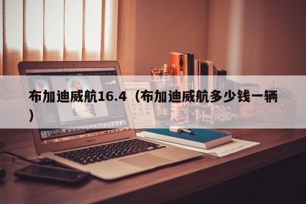 布加迪威航16.4（布加迪威航多少钱一辆）