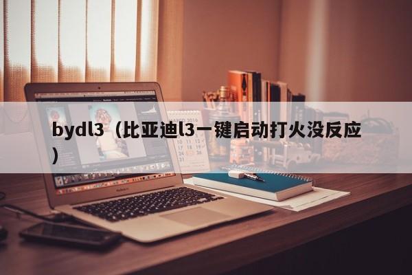 bydl3（比亚迪l3一键启动打火没反应）