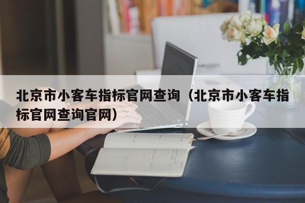 北京市小客车指标官网查询（北京市小客车指标官网查询官网）