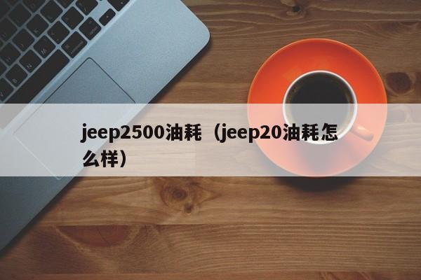 jeep2500油耗（jeep20油耗怎么样）