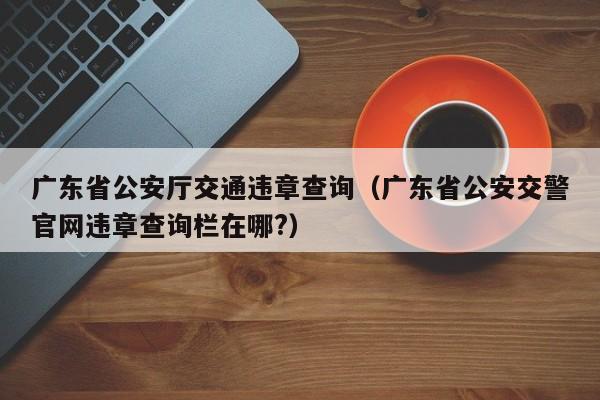 广东省公安厅交通违章查询（广东省公安交警官网违章查询栏在哪?）