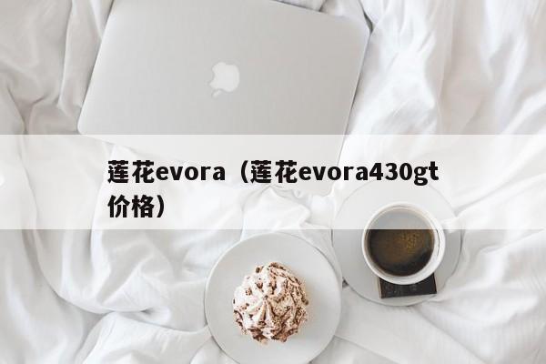 莲花evora（莲花evora430gt价格）