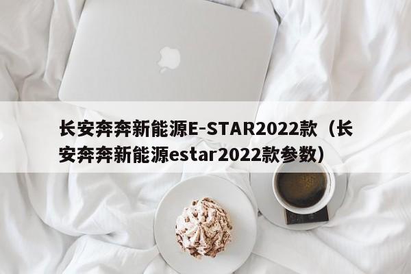 长安奔奔新能源E-STAR2022款（长安奔奔新能源estar2022款参数）