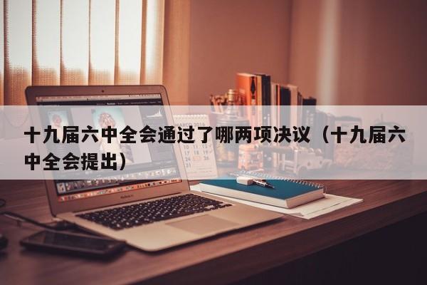 十九届六中全会通过了哪两项决议（十九届六中全会提出）